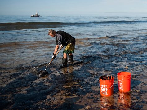 What the Oil Spill Off Santa Barbara Is Going to Kill @Wired #animals #wildlife #savetheanimals #gogreen #fossilfool Dead Fish, Dug Up, Oil Spill, Us Coast Guard, Fossil Fuels, Oil Slick, Power To The People, Oil Rig, California Coast