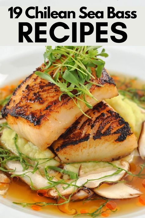 Some of the best chilean sea bass recipes to help cook your fish to perfection. This wide variety of recipes include different cooking methods and ways to prepare chilean sea bass. Chilean Sea Bass Recipe Baked, Sea Bass Recipes Healthy, Cooking Sea Bass, Baked Sea Bass, Sea Bass Recipes, Sous Vide Recipes, Sous Vide Cooking, Baked Fish, Seafood Dinner