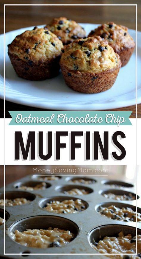 Oats Flour, Oatmeal Chocolate Chip Muffins, Chocolate Chip Muffin Recipe, Gf Flour, Oat Muffins, Oatmeal Chocolate Chip, Banana Chocolate Chip Muffins, Money Saving Mom, Oatmeal Muffins