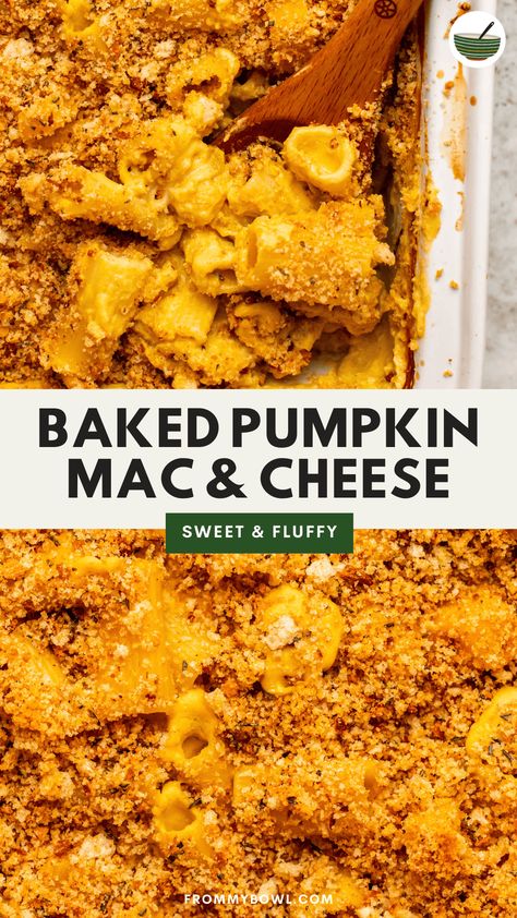 This Vegan Pumpkin Mac and Cheese Bake is the ultimate fall comfort food. Cozy pasta baked with a simple cashew cream sauce that's filled with cheesy flavor and tons of fresh pumpkin. Gluten-free & Oil-Free options. Dairy Free Pumpkin Mac And Cheese, Vegan Fall Food, Pumpkin Mac N Cheese, Vegan Pumpkin Mac And Cheese, Vegan Pumpkin Pasta, Cozy Pasta, Cheesy Broccoli Rice Casserole, Vegan Stuffed Shells, Cashew Cream Sauce