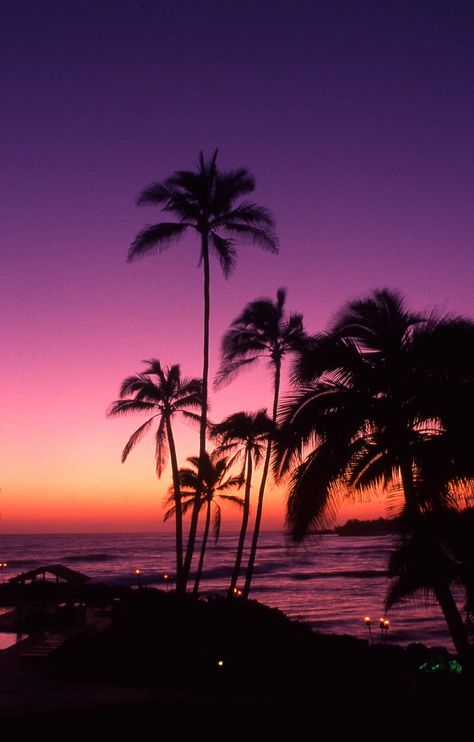 Tropical Pictures, Natural Pic, Sunsets Hawaii, Palm Trees Wallpaper, Purple Sunset, The Setting Sun, Broken Hearts, Beach Wallpaper, Amazing Sunsets