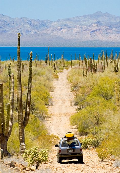 Deserts Of The World, Utah Travel, Kayak Trip, Road Trip With Kids, California Surf, Baja California Sur, Sea Kayaking, Mexican Culture, Ocean Photography