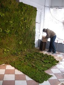 Serenity in the Garden: REINDEER MOSS - Fun and Artful Moss Installation, Moss Room, Cheap Backdrop, Reindeer Moss, Decor Studio, Sustainable Decor, Moss Art, Moss Wall, Plant Wall