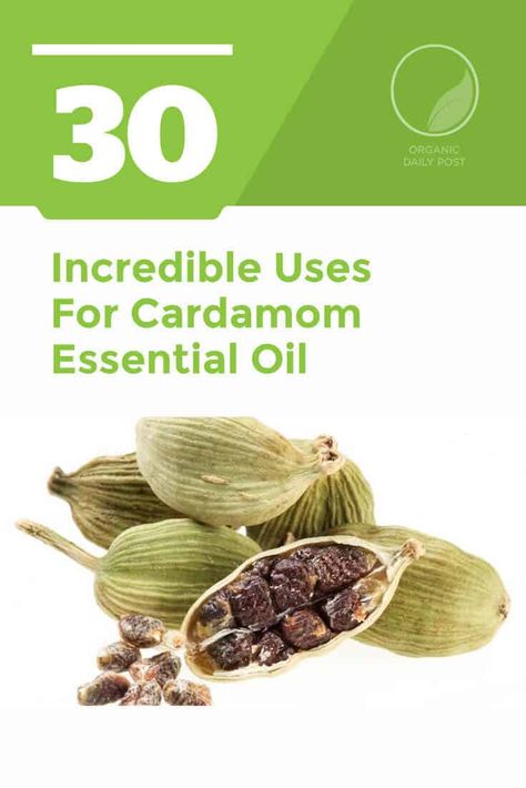 Getting Rid Of Headaches, Cardamom Essential Oil, Improve Digestion, Natural Health, The Body, Essential Oil, Health And Wellness, Essential Oils, The Incredibles