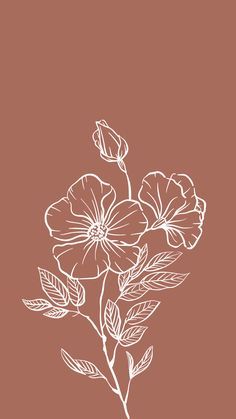 45 ⋆phone wallpapers⋆ ideas | aesthetic iphone wallpaper, iphone background wallpaper, minimalist wallpaper White Flower Wallpaper, Flower Graphic Design, Boho Wallpaper, Bohemian Flowers, 수채화 그림, Backgrounds Phone Wallpapers, Art Wallpaper Iphone, Flower Graphic, Flower Phone Wallpaper