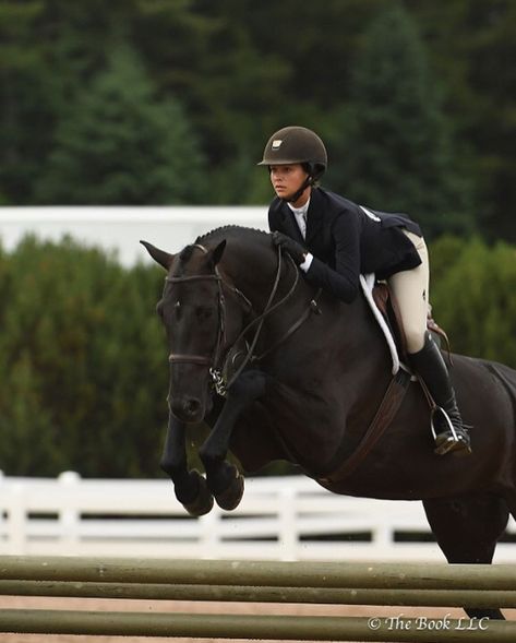 Equestrian Hunter Aesthetic, Black Warmblood Horse, Black Equestrian Aesthetic, Equestrian Lifestyle Aesthetic, Hunter Horse Show, Jumpers Aesthetic, Black Horse Jumping, Black Horse Aesthetic, Black Warmblood