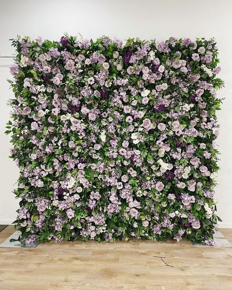 Bash Events TC on Instagram: "Haze Wall newest arrival!! #flowetwall #flowerbackdrop #flowerwallbackdrop #flowerwalls #artificialflowers #purplehaze #purps #hazewall #haze #backdroprentals #weddingbackdrop #weddingdecor #weddingflowers #tricitiesevents #hypethetri #pascowa #washingtonstate #kennewickwa #richlandwa #tricitieswa #quinceanera #quinceinspo #misquince #purple #balloongarland #floralbackdrop" Purple And White Flowers, Flower Wall Backdrop, Floral Backdrop, Flower Backdrop, Living Wall, Purple And White, Balloon Garland, Wedding Backdrop, Washington State