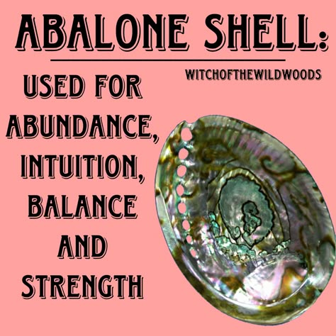 Abalone Shell Meaning, Seashell Meaning, Shells Meaning, Seashells Witchcraft, Shell Divination, Shell Meaning, Shell Magic, Sp Manifestation, Sea Magick