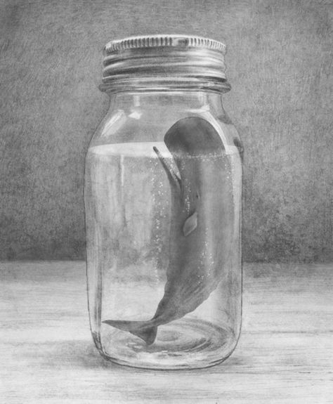 whale in a bottle Extinction Art, Whale Art, Square Canvas, By Terry, Childrens Illustrations, Environmental Art, In A Jar, Mini Art, Whales