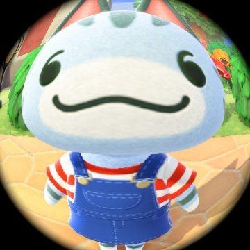 Fisheye Pfp, Not Mine, Animal Crossing, Log In, Log, Media, Twitter