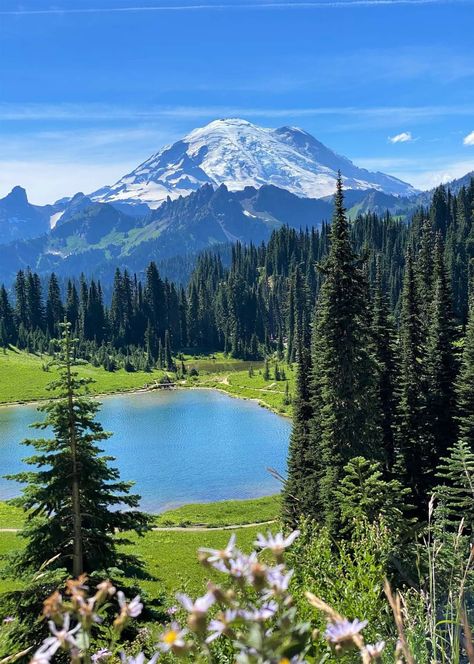 Mount Rainier National Park, Washington, USA Mount Rainier National Park, Washington Usa, Pretty Landscapes, Rainier National Park, Nature Garden, Landscape Pictures, Beautiful Scenery Nature, Alam Yang Indah, Nature Aesthetic