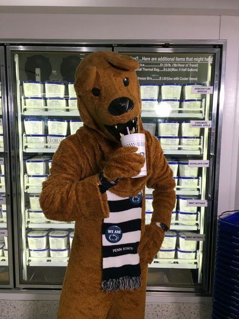 Penn State University Aesthetic, Library Mascot, Penn State Aesthetic, Drew Allar, College Manifestations, Penn State College, Dream University, Penn State Football, Tulane University