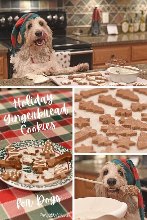 I've got a new gingerbread recipe for dogs. Bake your pup some tasty and festive cookies this holiday season. It is easy to do if you follow my instructions! Gingerbread Cookies For Dogs, Cookies For Dogs, Holiday Gingerbread Cookies, Festive Cookies, Gingerbread Recipe, Dog Cookies, Few Ingredients, Holiday Cookies, Holiday Baking