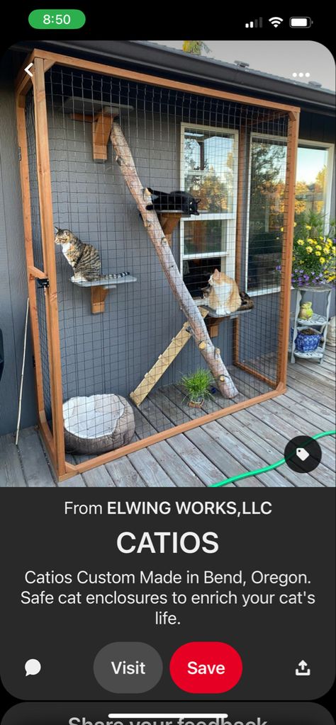 Cat Outdoor Cage, Balcony Catio Cats, Outdoor Cat House Diy, Outdoor Cage For Cats, Outside Cat Enclosure, Cat Room Diy, Portable Catio For Cats, Catio Plans, Pergola Cat Enclosure