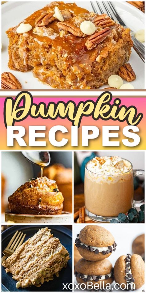 Easy recipes using pumpkin Recipes To Use Up Pumpkin Puree, Easy Pumpkin Puree Desserts, Recipes With Fresh Pumpkin, Recipes Using Pumpkin Puree, Pumpkin Recipes Using Real Pumpkin, Use Leftover Pumpkin Puree, Pumpkin Desserts From Real Pumpkin, Pumpkin And Feta Salad, Fresh Pumpkin Recipes