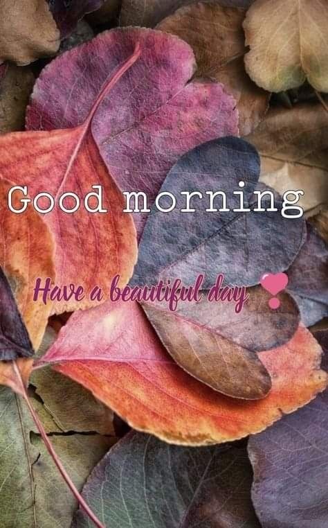 Fall Greetings, Week Blessings, Autumn Greetings, Good Morning Posters, Morning Sweetheart, Cute Good Morning Images, Happy Morning Quotes, Good Morning Inspiration, Cute Good Morning Quotes