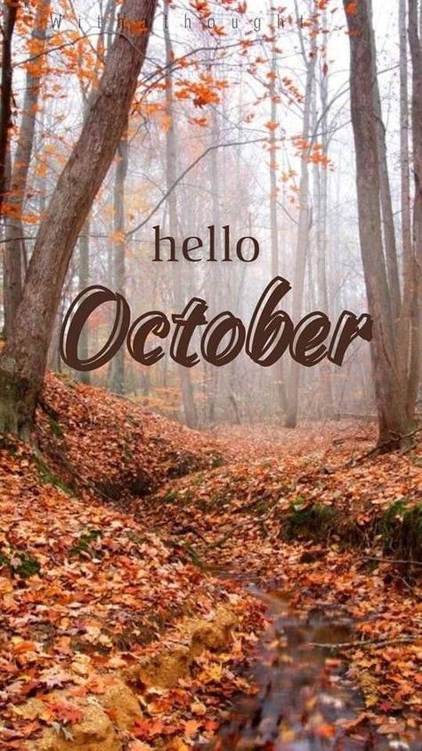 Hello October Wallpapers, Fall Edits, Aesthetic Autumn Wallpapers, October Feels, Hello October Images, April Wallpaper Aesthetic, October Wallpapers, Cozy October, Spring Wallpaper Iphone