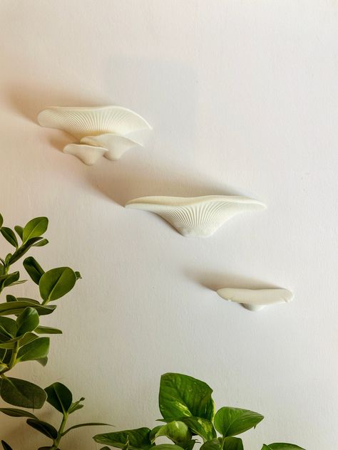 Home and Event Decor: Wall Hangings | Calendars | Garlands | Ouija Boards | Moon and Celestial | Functional Art | Coasters | Ornaments | Cake Toppers | Event Accessories Home Decor Collection This Mushroom Shelf Trio is perfect for mushroom enthusiasts and home gardeners alike. The 3d printed mushroom design adds a unique touch to any room, while the oyster mushroom shelves provide a functional and decorative space for showcasing fungi. Enhance your indoor space with this delightful trio. Produc Mushroom Shelves, Mushroom Shelf, Free Standing Shelves, Painting Mirror, Oyster Mushroom, Art Coasters, Hanging Calendar, Themed Bedroom, Art Calendar