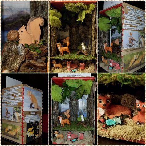 Red Fox Shoebox Diorama #redfox #shoebox #school #diorama Red Fox Habitat School Project, Fox Habitat School Project, Fox Diorama, School Diorama, Fox Habitat, Shoe Box Diorama, Shoebox Diorama, Habitat Diorama, Diorama Kids