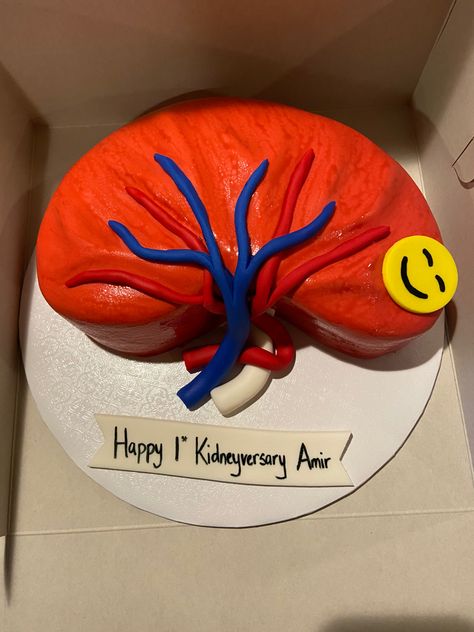 @akhan_customcakes Kidney Cake Ideas, Kidney Model, Kidney Structure, Kidney Party Transplant, Funny Kidney Stone Memes, Cake