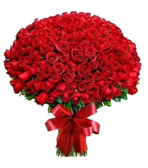 Love Rose Flower, Rose Flower Arrangements, Birthday Wishes Flowers, Rose Flower Pictures, Beautiful Flowers Images, Rose Flower Wallpaper, Red Rose Bouquet, Beautiful Red Roses, Flowers Bouquet Gift