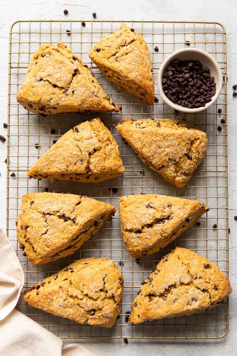 Pumpkin Chocolate Chip Scones, Chocolate Chip Scones, Crumb Recipe, Sweat Treats, Chocolate Scones, Creamy Pasta Dishes, Pumpkin Scones, Pumpkin Chocolate Chip, Healthy Chicken Dinner