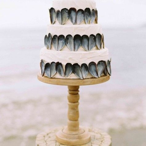 Witchy Party, Shell Wedding, Coastal Wedding Inspiration, Maine Summer, Wedding Cake Ombre, Beach Cakes, Sea Wedding, Ocean Wedding, Beach Wedding Cake