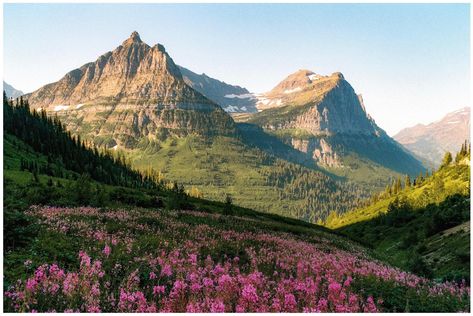 Vintage Mountain Photography, Landscape Photography Nature Horizontal, Mountains And Sky, Mountains Flowers, Wild Landscape, Montana Mountains, Mountain Landscape Photography, Pretty Nature, Mountain Scenery