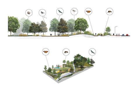 Gallery of A Multidisciplinary Landscape Architecture Competition Generates a Biodiversity Corridor for Montréal  - 15 Biodiversity Diagram, Architecture Folio, Urban Biodiversity, Landscape Architecture Diagram, Architecture Competition, Library Architecture, Agricultural Land, Areas Verdes, Art Village