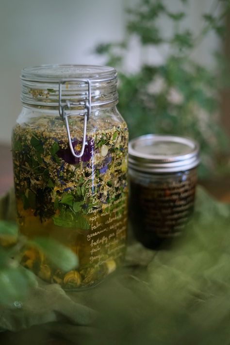 Herbal Liquor, Green Liquor, Witch's Kitchen, Simple Sugar Syrup, Homemade Wine, Butterfly Pea Flower, Herbal Recipes, Infused Vodka, Pea Flower