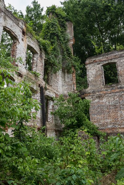 Great Dismal Swamp North Carolina, Nature Witch, Paint Inspo, Gothic Novel, North Carolina Homes, Southern Gothic, Historical Place, Ghost Towns, Abandoned Houses