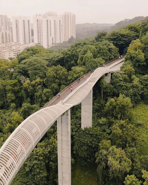 designboom magazine on Instagram: “featuring a series of undulating waves, the #hendersonwaves pedestrian bridge in #singapore stands 36 meters above ground. image by @beixin…” Henderson Waves Singapore, Wave Architecture, Singapore Sights, Henderson Waves, Singapore Architecture, Famous Buildings, Bridge Design, Pedestrian Bridge, Architecture Photo