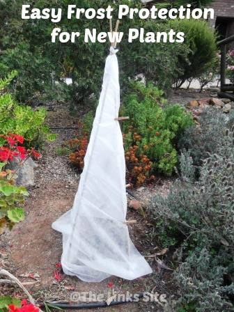 Easy Frost Protection for New Plants - easy to install and easy to remove! http://thelinkssite.com/2014/05/06/frost-protection-plants/ Plant Frost Cover Diy, Frost Covers For Plants Diy, Diy Plant Protectors, Protection Plants, Vege Garden Ideas, Frost Protection For Plants, Hammock Area, Vege Garden, Garden Cover