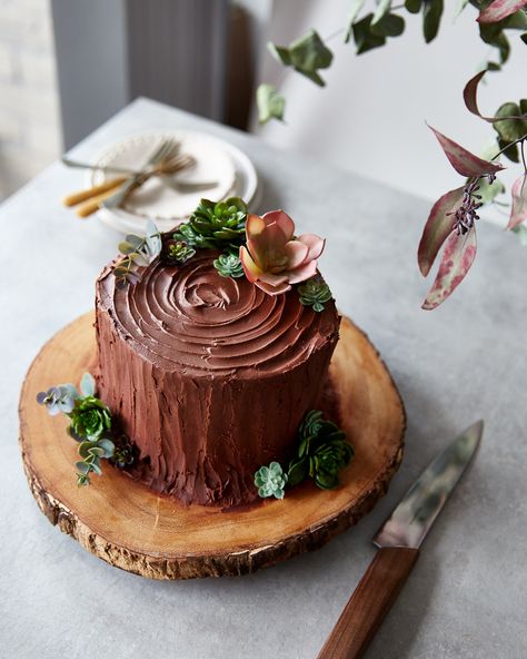 A vertically layered chocolate & coffee yule log. It looks just like a festive tree stump! Easy to make but is such a show stopper of a dessert, perfect for the Holidays or Christmas. // topwithcinnamon.com // Izy Hossack Chocolate Tree Stump Cake, Squirrel Party, Yule Log Cake Recipe, Tree Stump Cake, Yule Log Recipe, Chocolate Log, Chocolate Yule Log, Yule Log Cake, Chocolate Tree