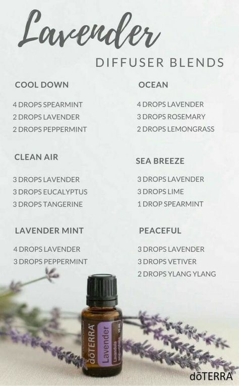 uses for lavender oil Lavender Essential Oil Uses, Lavender Oil Benefits, Simmer Pots, Lilin Aroma, Doterra Diffuser Blends, Essential Oil Combinations, Doterra Essential Oils Recipes, Essential Oil Diffuser Blends Recipes, Essential Oils Guide