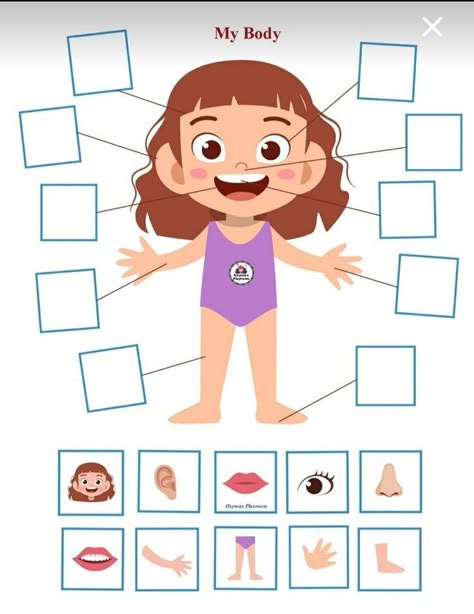 Body Parts Worksheet, Body Parts Preschool Activities, Body Parts For Kids, Human Body Activities, Body Parts Preschool, Worksheet Preschool, Felt Story, Senses Activities, Teaching Game