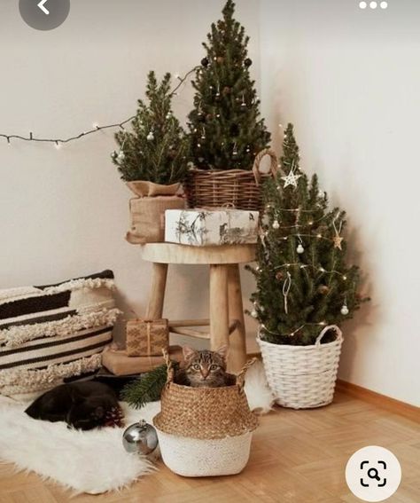 Xmas 2023 Trends, Vintage Inspired Christmas Tree, Minimal Christmas, Christmas Decor Inspiration, Xmas Deco, Small Christmas Trees, Warm Christmas, Christmas Photography, Vintage Christmas Tree