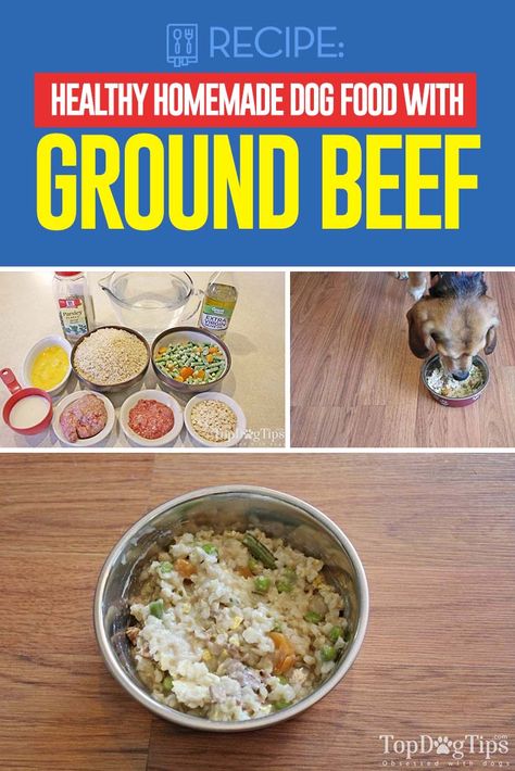 Healthiest Homemade Dog Food with Ground Beef Recipe #dogfoodrecipes #dogfood #homemade Beef And Rice Dog Food Recipes, Dog Food Ground Beef, Ground Beef Recipes For Dogs, Homemade Dog Food Beef, Homemade Beef Dog Food Recipes, Dog Food Recipes Ground Beef, Dog Food With Ground Beef, Beef Dog Food Recipes, Food With Ground Beef