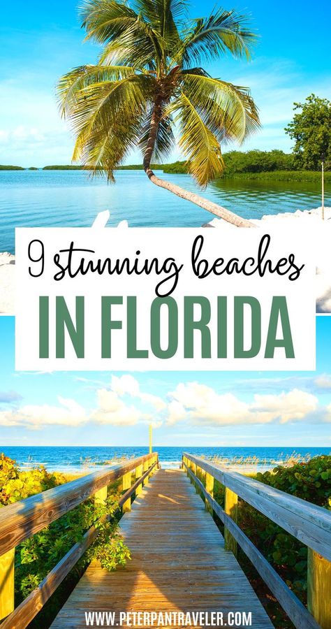 9 Stunning Beaches in Florida Best Beaches In Florida, Beaches In Florida, Best Beach In Florida, Miami Travel Guide, Florida Travel Destinations, Florida Travel Guide, Miami Travel, Places In Florida, Pretty Beach