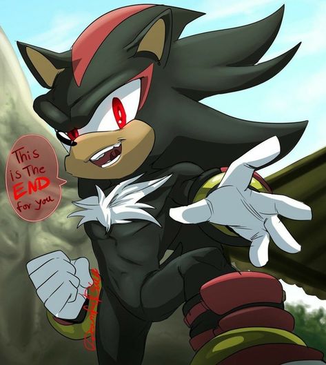 Shadow Sonic, Shadow And Amy, Silver The Hedgehog, Sonic Franchise, Sonic Adventure, Hedgehog Art, Shadow Art, Sonic And Shadow, Sonic Boom