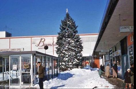 The Garden State Plaza, Paramus, NJ Christmas 1960’s 🎄🎅🏻🎄 Mall Architecture, Garden State Plaza, Bergen County New Jersey, Retro Signs, Paterson Nj, Vintage Mall, Vintage Stores, Bergen County, Garden State