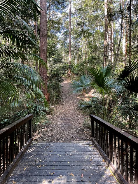 Queensland Australia, Sunshine Coast, Botanical Garden, Queensland, Botanical Gardens, Australia, Photography, Travel, Regional