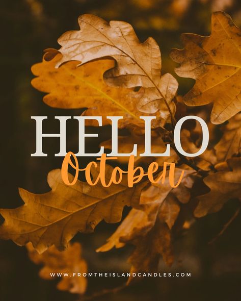 Happy October 1st! It’s officially the start of cosy season… meaning it’s officially light your candles every evening season 🕯️✨🤎🔥🫶🏻 Happy October 1st, Welcome October, Aromatherapy Products, Wax Melt Warmer, Happy October, October 1st, Pure Essential Oils, Wax Melts, Pet Friendly