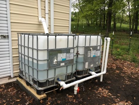 Really Large Rainwater Harvesting System a How To Post Rain Water Collection Diy, Water Collection System, Greenhouse Design, Water From Air, Water Harvesting, Rainwater Harvesting System, Bunk Bed Designs, Pub Set, Rainwater Harvesting