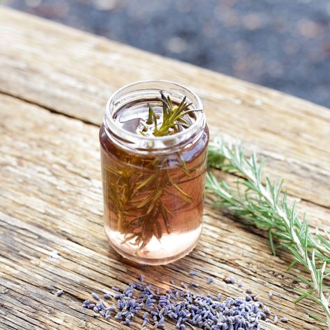 Rosemary Water for Hair Hair Mask With Coconut Oil, Rosemary Water For Hair, Chamomile Hair, Coconut Hair Mask, Aloe Vera Hair, Which Hair Colour, Rosemary Water, Hair Mask Recipe, Fresh Aloe Vera Gel