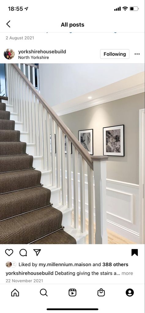 Coloured Bannister, Bannister Ideas Painted, Painted Staircase Ideas, Painted Bannister, Hall Storage, Stair Paneling, Hallway Paint, Painted Staircases, Hallway Colours