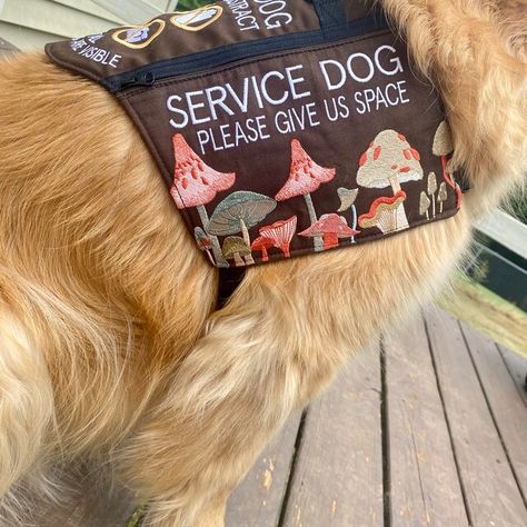 Not mine, made by PNL How To Sew A Service Dog Vest, Service Dog Vest Template, Service Dog Gear, Service Dogs Vest Ideas, Cute Service Dog Vest, Disney Service Dog Vest, Vest Patches, Service Dogs Gear, Service Dog Vests