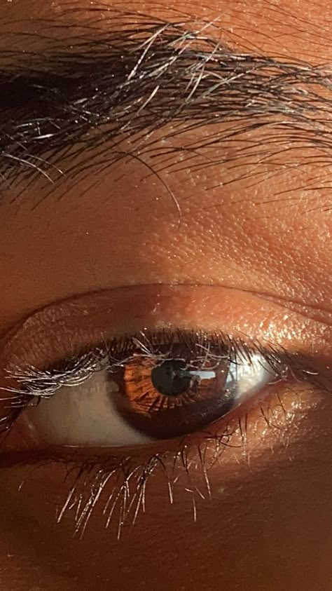 Brown Eyes Men Aesthetic, Dark Brown Eyes In Sunlight, Brown Eyes Aesthetic Male, Dark Brown Eyes Men, Laurel Aesthetic, Brown Boy Aesthetic, Brown Eyes Men, Dark Brown Eyes Aesthetic, Amit Thakkar