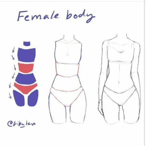 الفن الرقمي, Body Drawing Tutorial, Body Reference Drawing, Art Tools Drawing, Sketches Tutorial, Body Drawing, Female Body, Anatomy Reference, Anime Drawings Tutorials