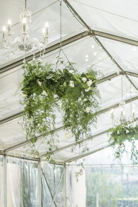 11 Stunning Greenery Wedding Ideas to Have a Budget Friendly Wedding---greenery chandeliers for greenhouse wedding Green Ceiling Wedding Hanging Flowers, Foliage Chandelier Wedding, Flowers Hanging From Ceiling Wedding Floral Chandelier, Hanging Arrangements Wedding, Hanging Flower Baskets Wedding, Foliage Ceiling Installation, Hanging Flower Installation Wedding, Hanging Foliage Wedding, Hanging Plants Wedding